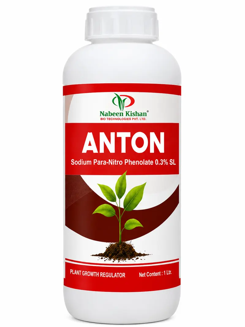 ANTON