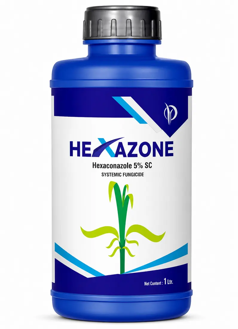 HEXAZONE