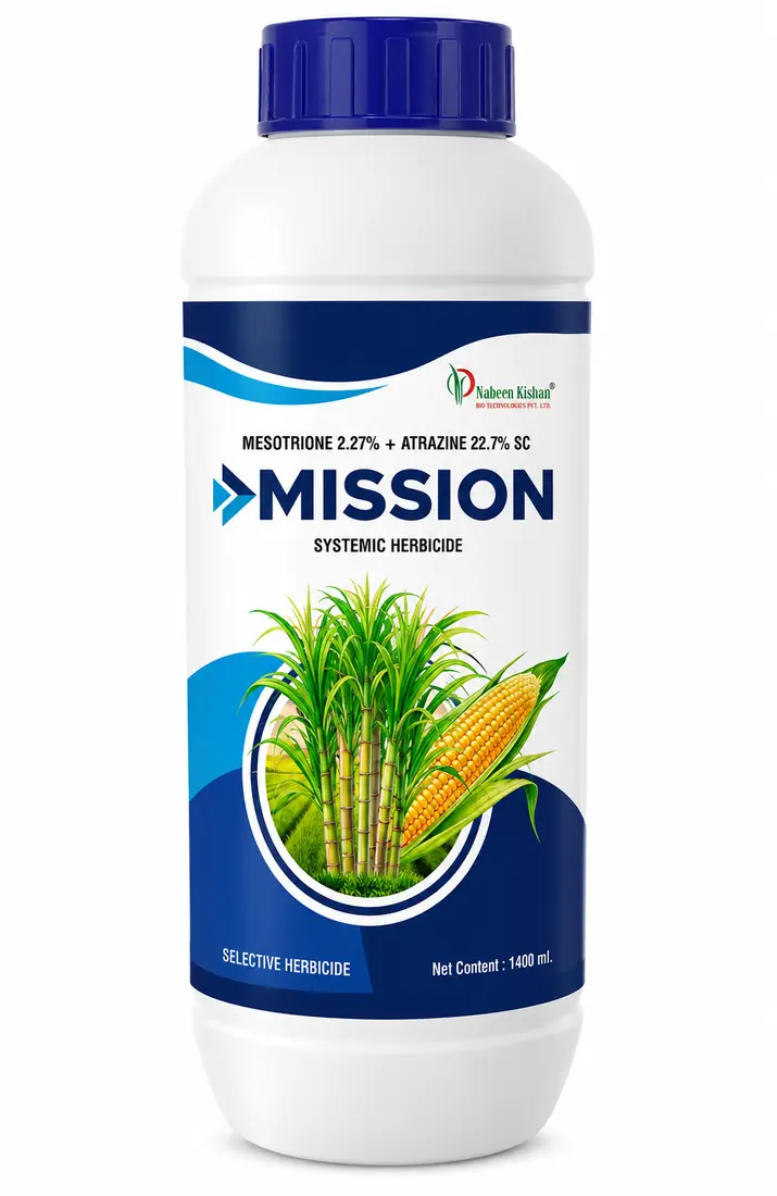 MISSION