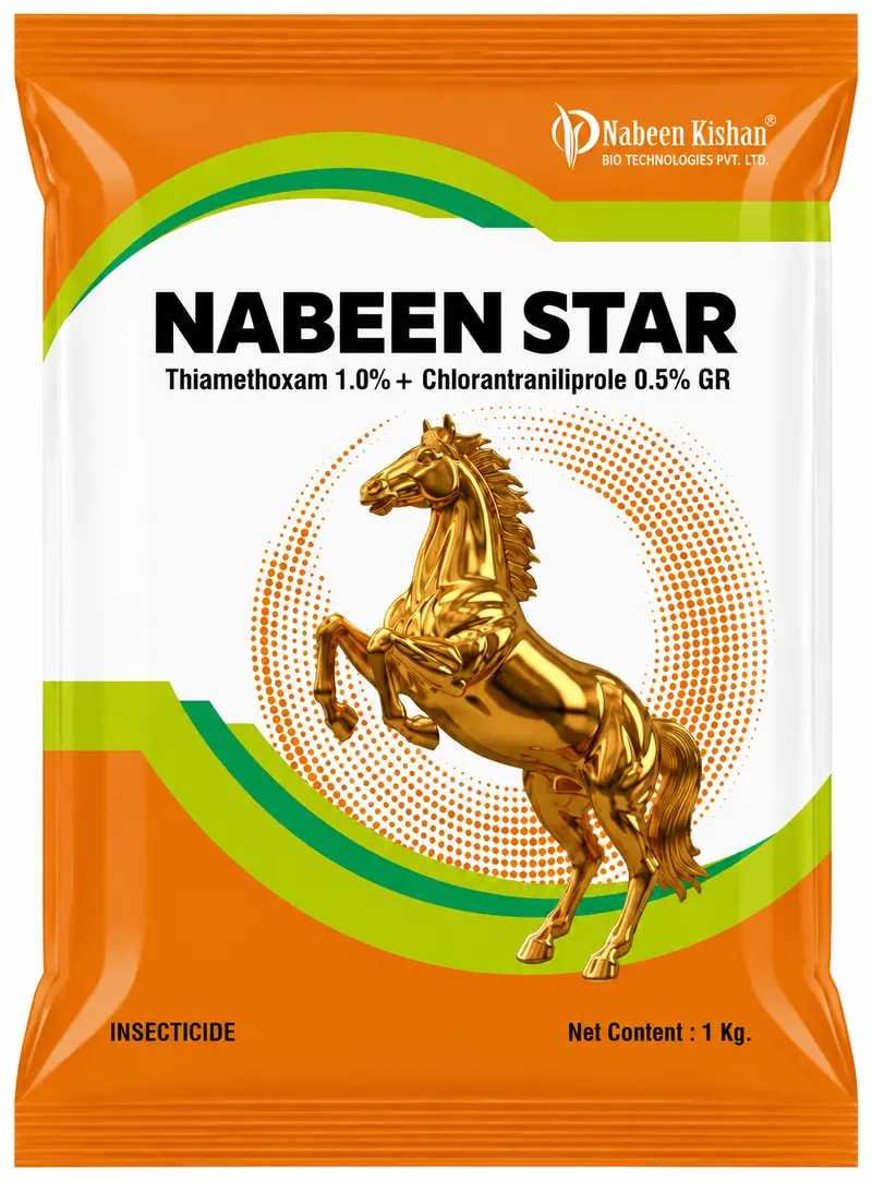 NABEEN STAR