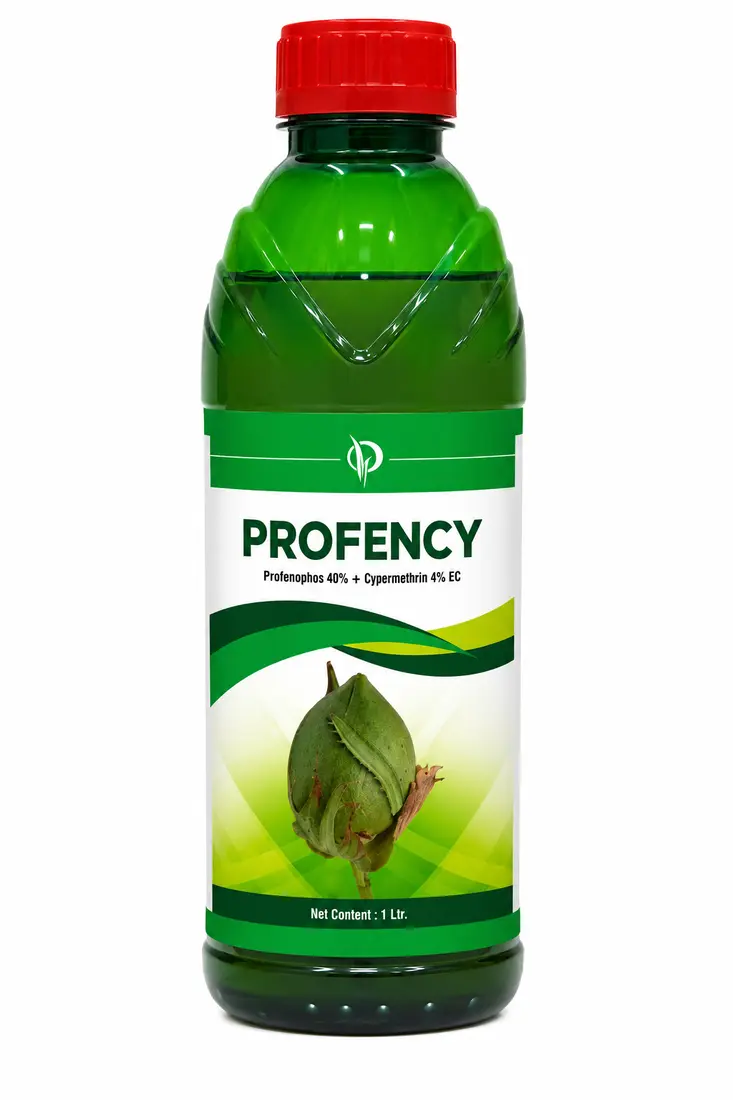 PROFENCY