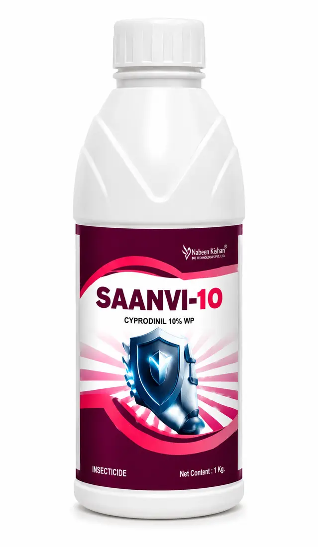 SAANVI-10