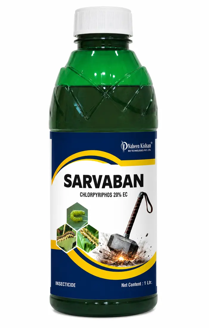 SARVABAN