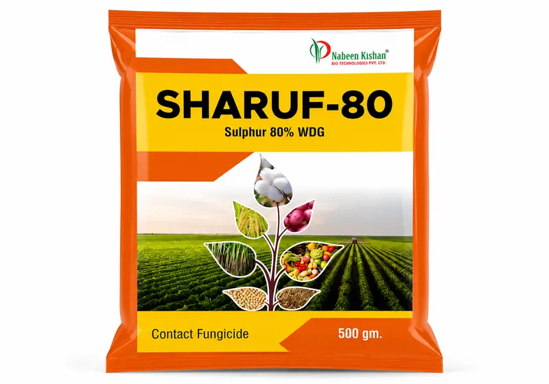 SHARUF-80