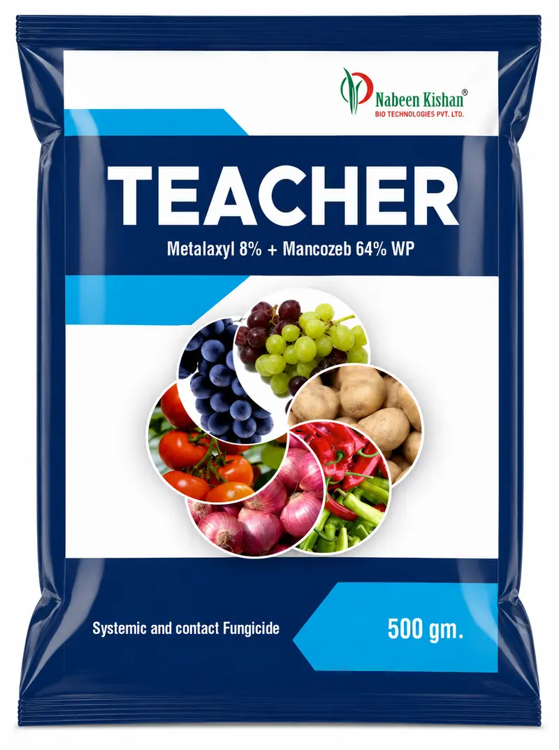 TEACHER