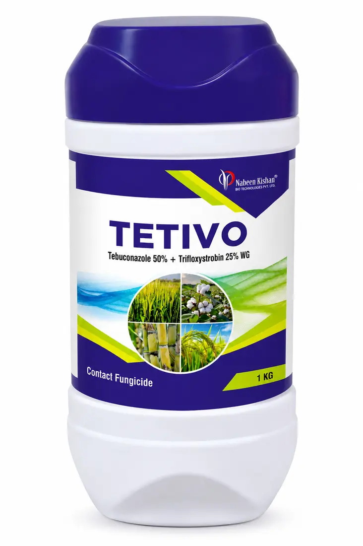 TETIVO